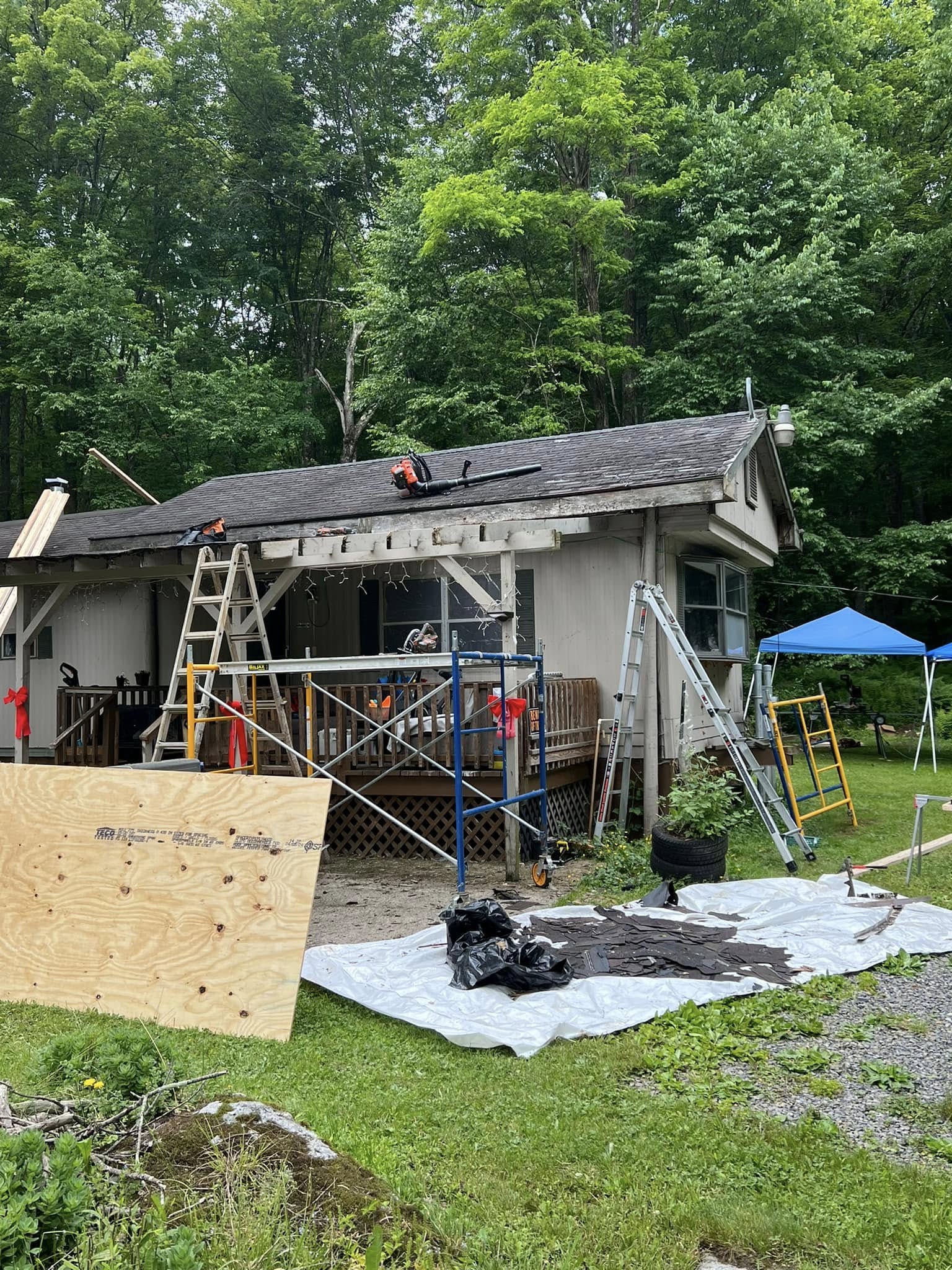 You are currently viewing June 2024 | Oakland, MD